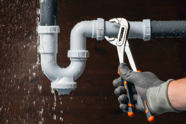 Professional Plumbing technician working in Bellflower, IL